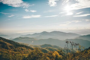 Fall Foliage Blue Ridge Mountains Amber Orange Forest
