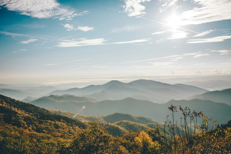 Fall Foliage Blue Ridge Mountains Amber Orange Forest